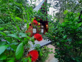 The Otunna Guest House Sigiriya, Sigiriya